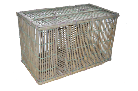 Box Trap (চৌকা চাঁই)